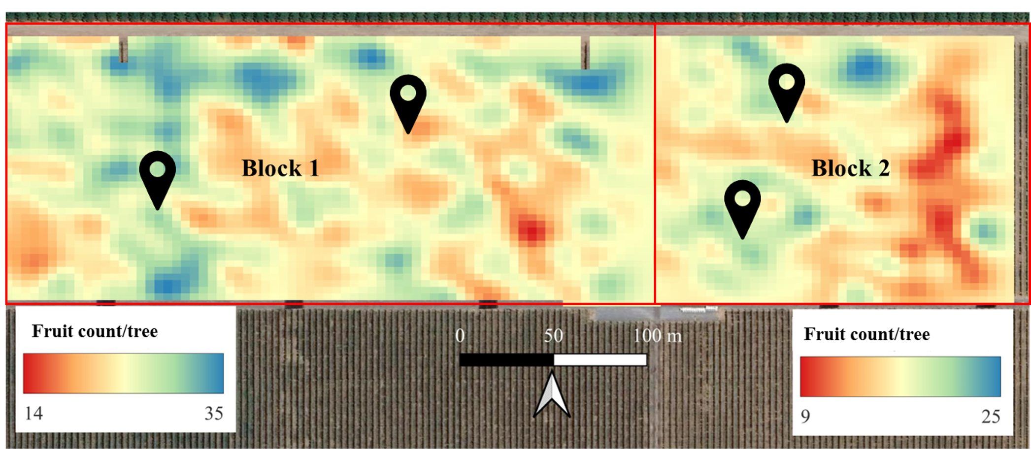 Heat map showing areas of high and low fruit count in an orchard.