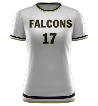 Falcons_1