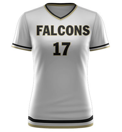 Falcons_1
