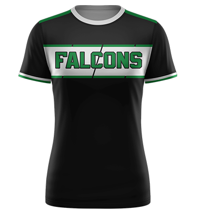 Falcons_2