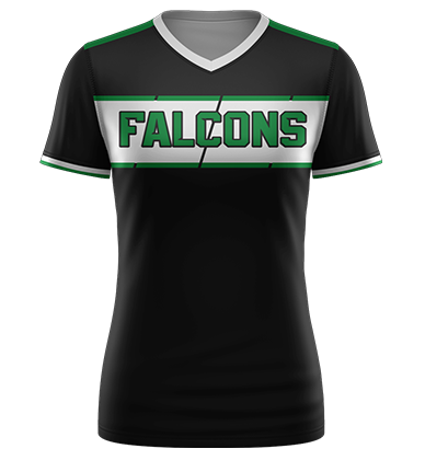 Falcons_2