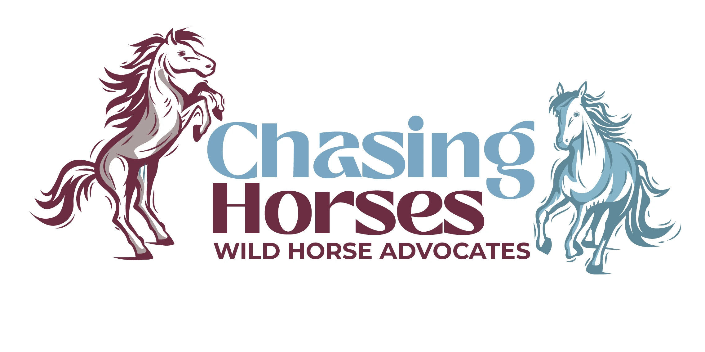 Chasing Horses Wild Horse Advocates