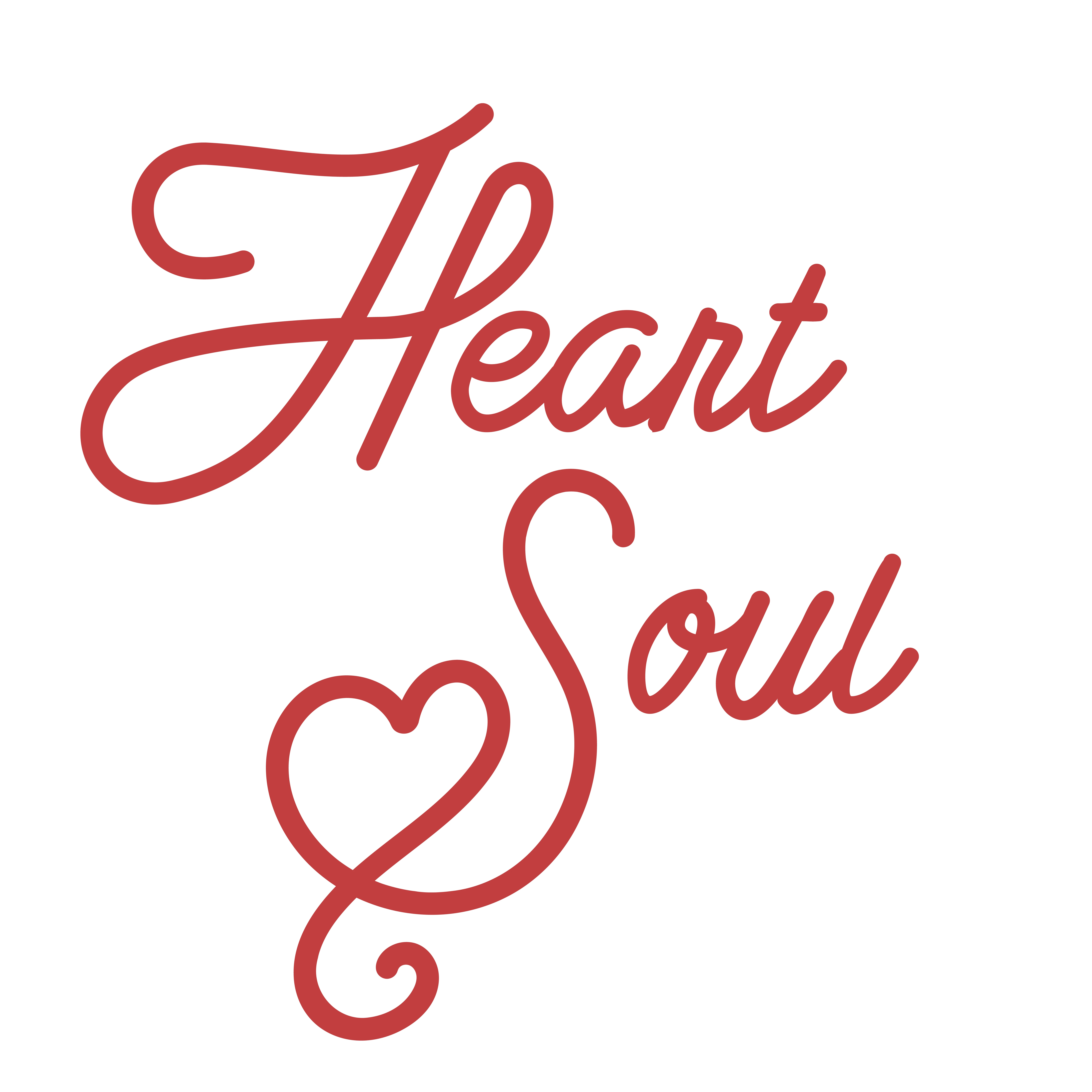 Heart-n-Soul Community Café Inc