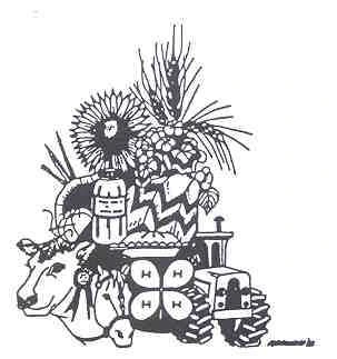 Ramsey County Fair Foundation