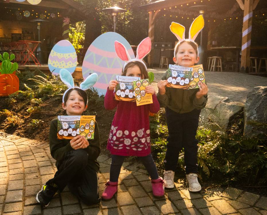 Hoppy Heights at Capilano Suspension Bridge Park