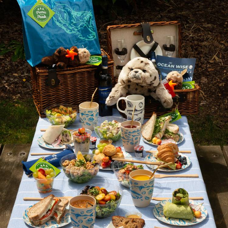 Vancouver Aquarium extended summer hours and Picnic in the Park | July 16 - September 6, 2020