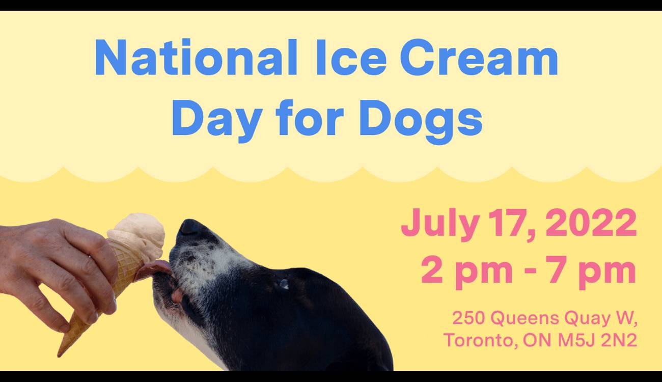 National Ice Cream Day for Dogs! Listed