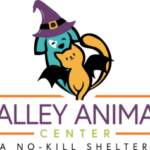 VAC_Logo_Half_Tagline_Color_Color_Halloween_Black-Wings-300x237