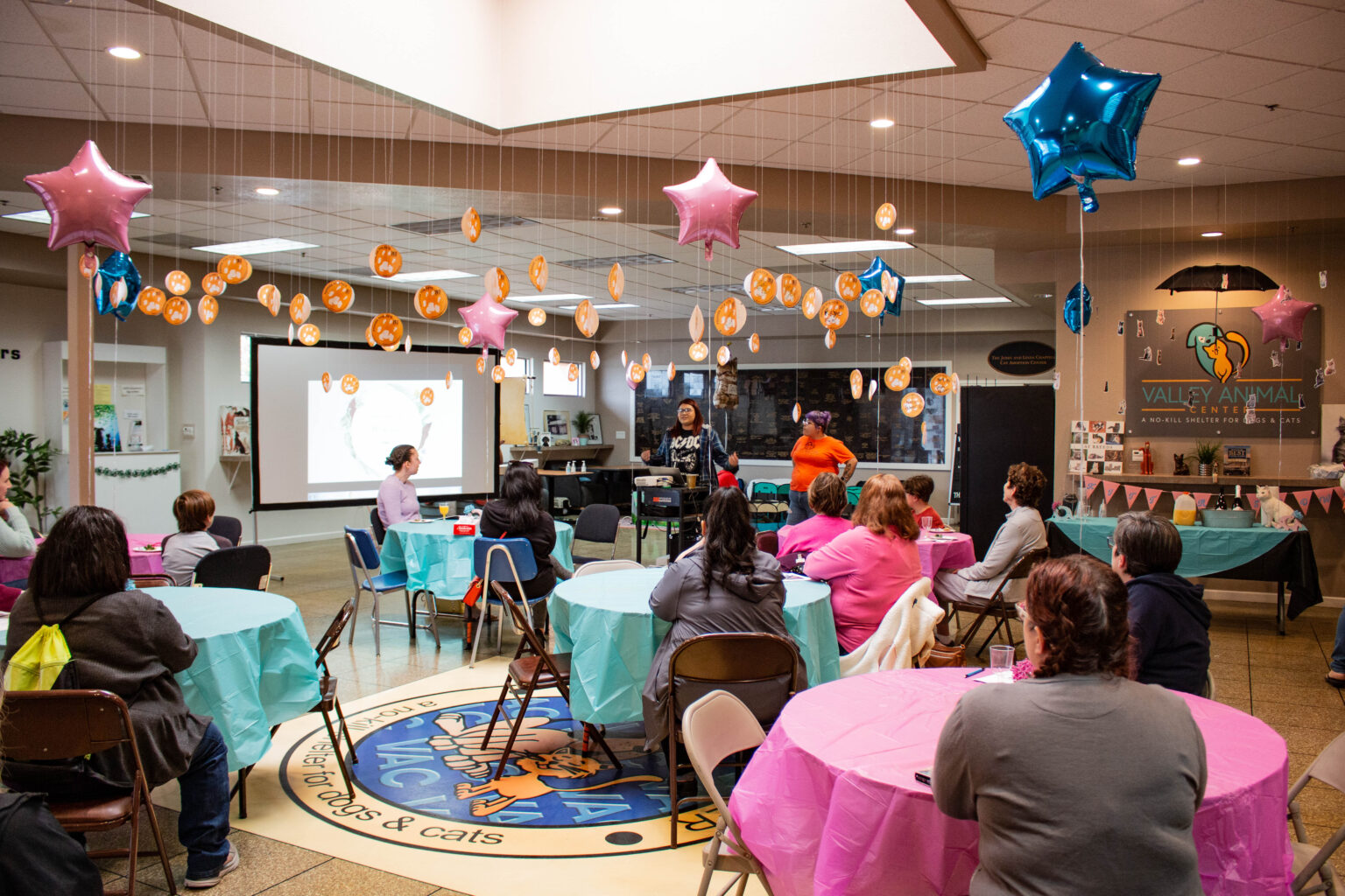 Kitten Shower-17