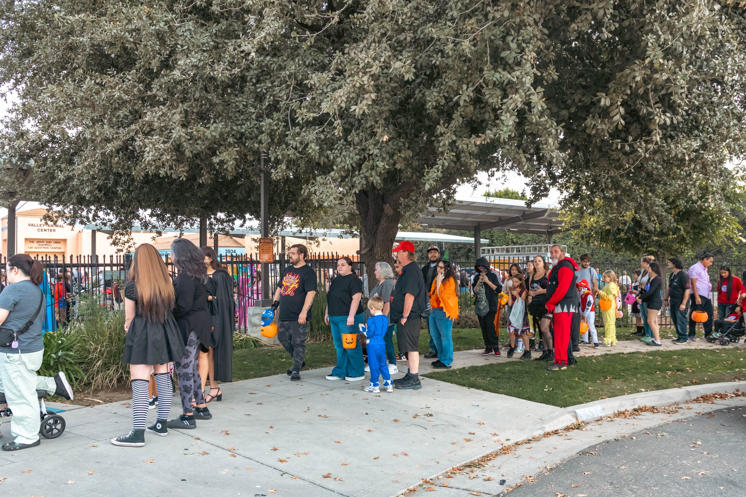 Families enjoying a past Valley Animal Center Trunk-or-Treat