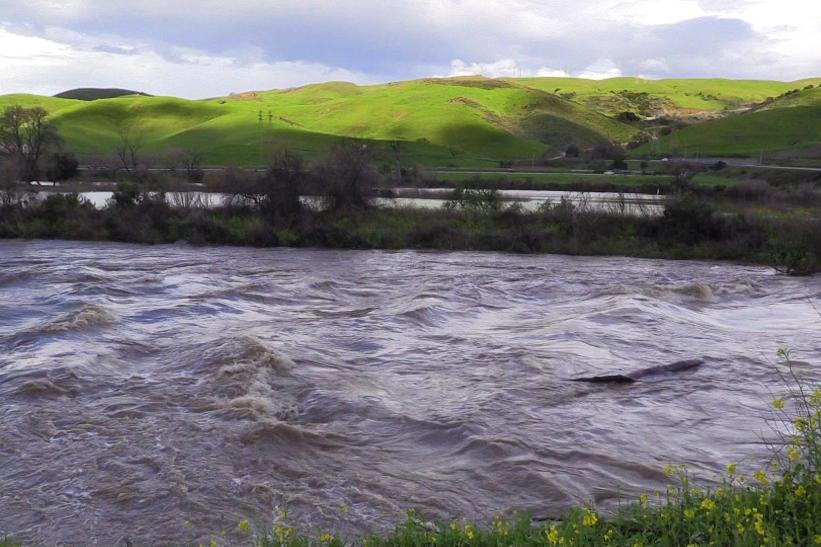 Coyote Creek