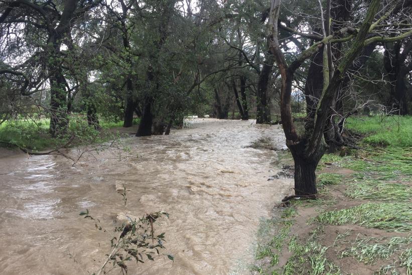 Upper Penitencia Creek