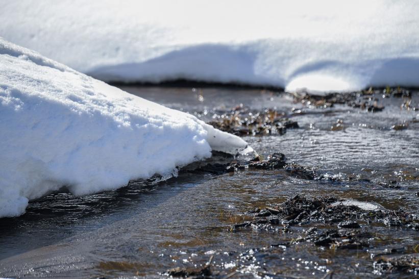 Snow melts into a creek that flows into the South Fork American River, near the site of the California Department of Water Resources second media snow survey of the 2022 season in the Sierra Nevada Mountains.