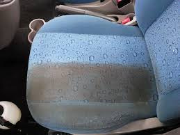 Detailing — Max Le Detailer — photo 1