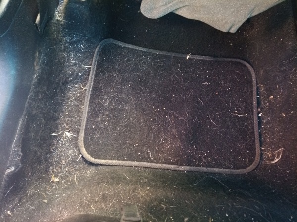 Voir l'image Seat Altea — Jonathan Martelli — photo 1