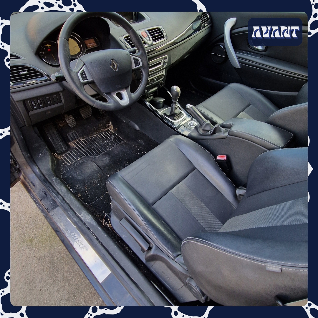 Voir l'image Renault Mégane — Washer — photo 1