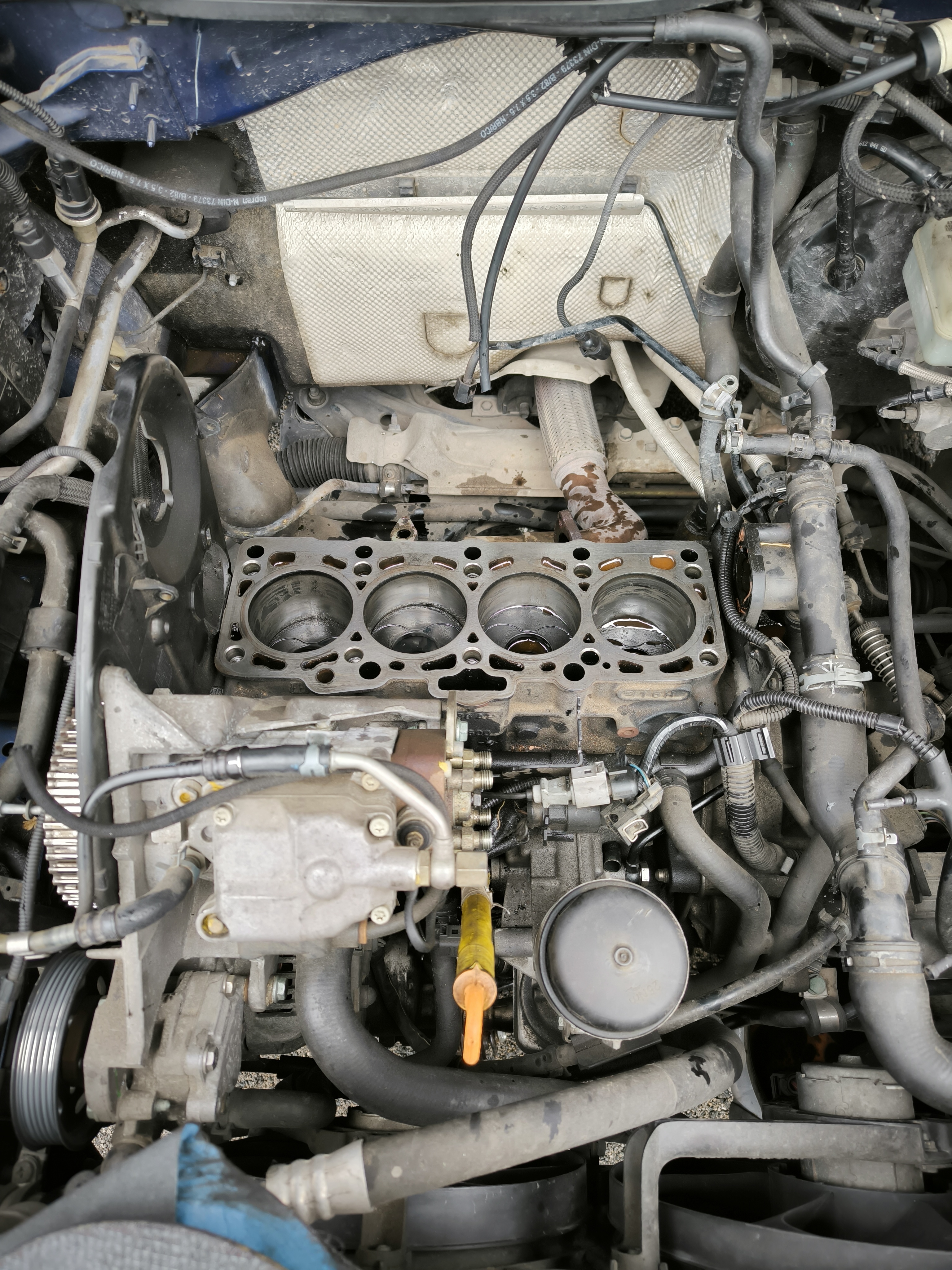 Joint de culasse 1.9 tdi  — BlackListed performance — photo 1