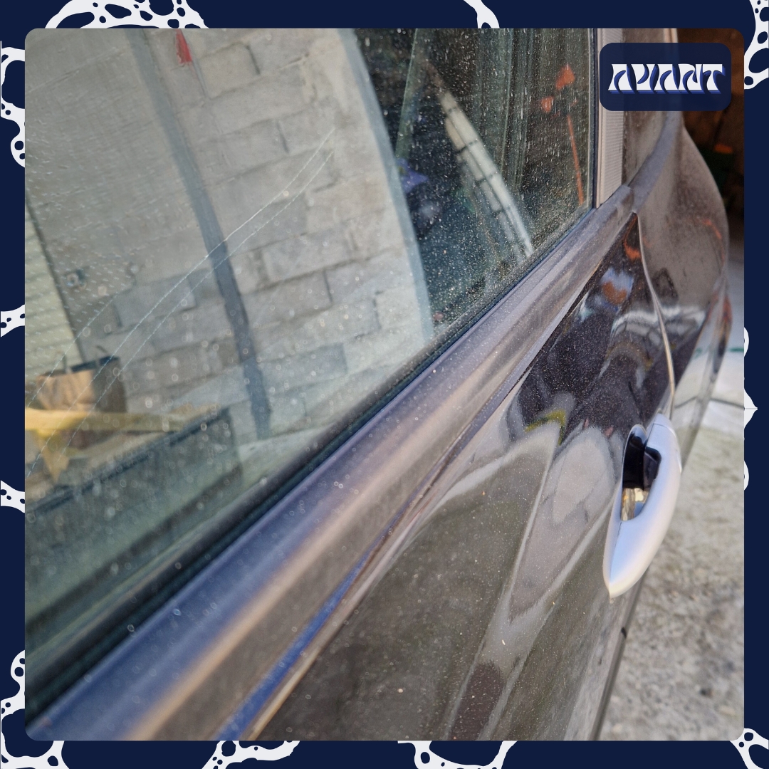 Voir l'image Renault Clio 3RS — Washer — photo 1