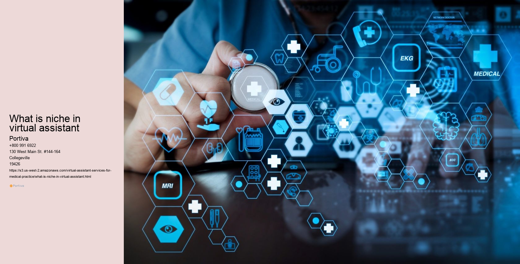 What is niche in virtual assistant