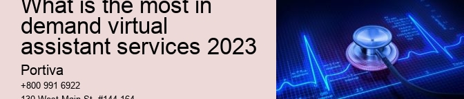 What is the most in demand virtual assistant services 2023