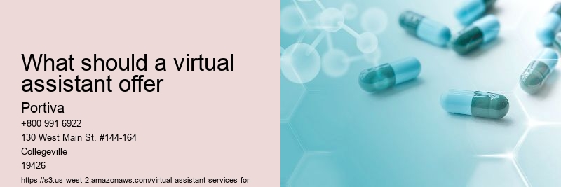 What should a virtual assistant offer