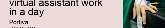 How many hours does a virtual assistant work in a day
