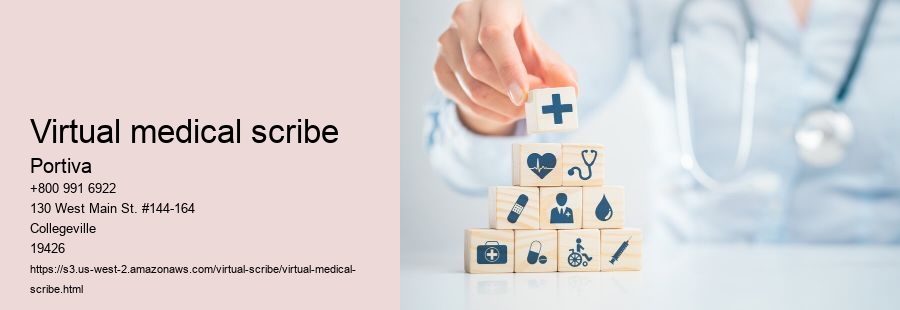 virtual medical scribe
