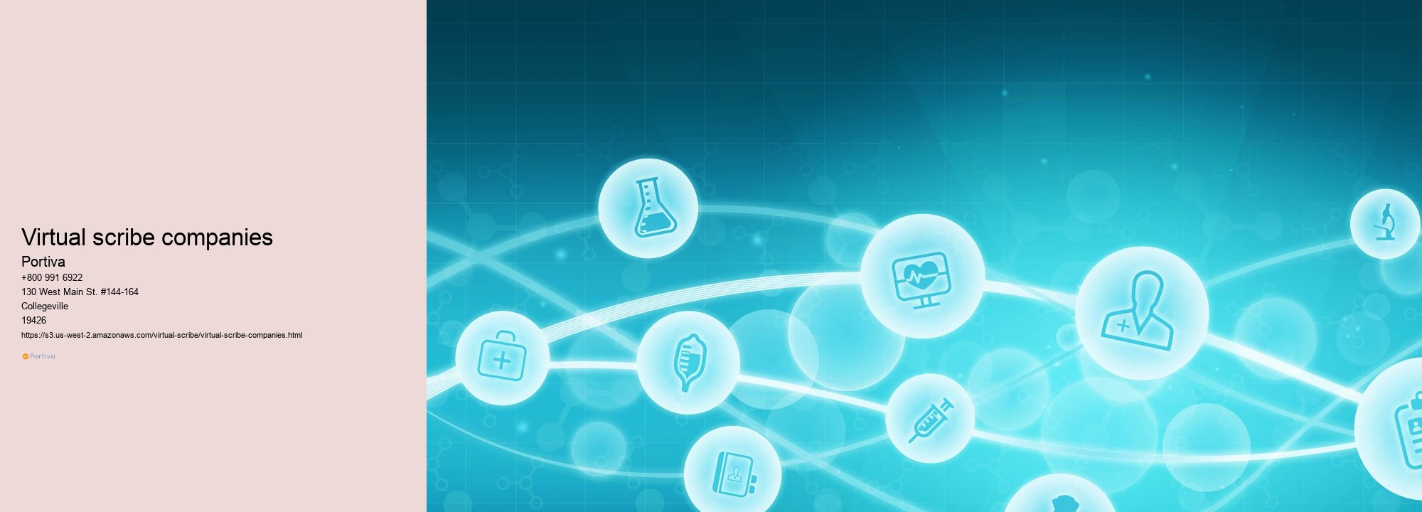 virtual scribe companies