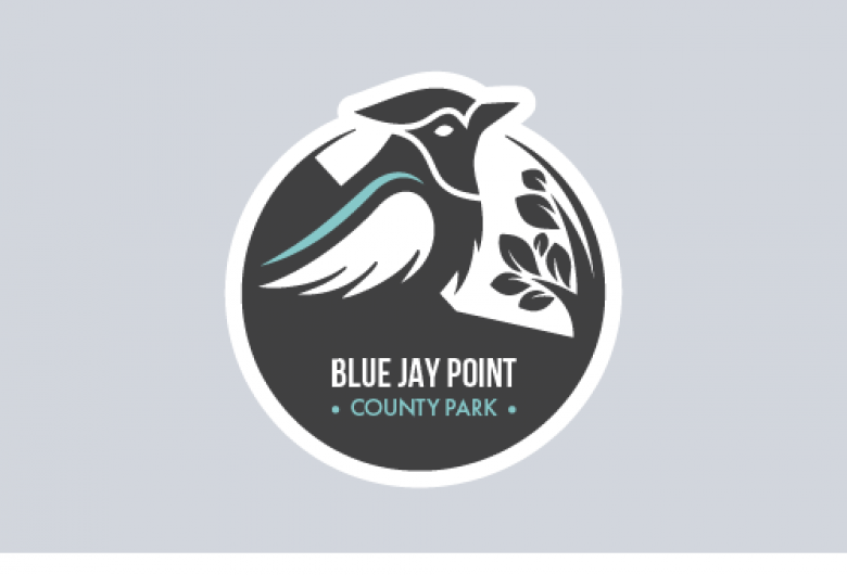 blue jay point logo