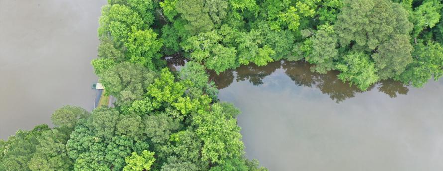 Aerial photo of Kellam-Wyatt Farm property
