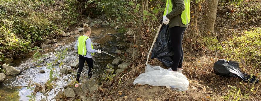 Volunteers cleaning stream