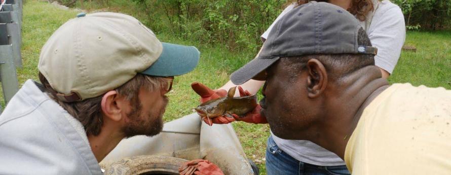 Volunteers interacting with wildlife in a stream