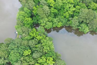 Aerial photo of Kellam-Wyatt Farm property