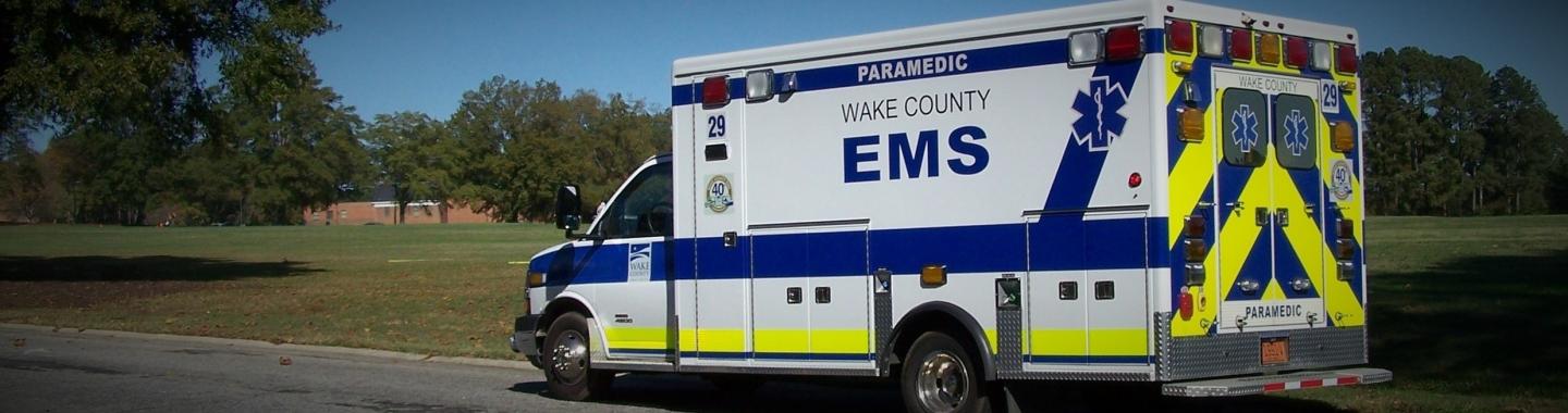 Ambulance parked under a tree in a park