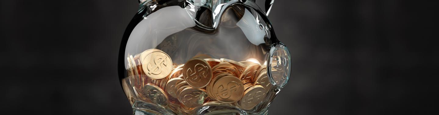 Transparent Piggy Bank