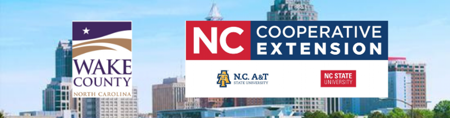 NCCE & Wake Co Logos