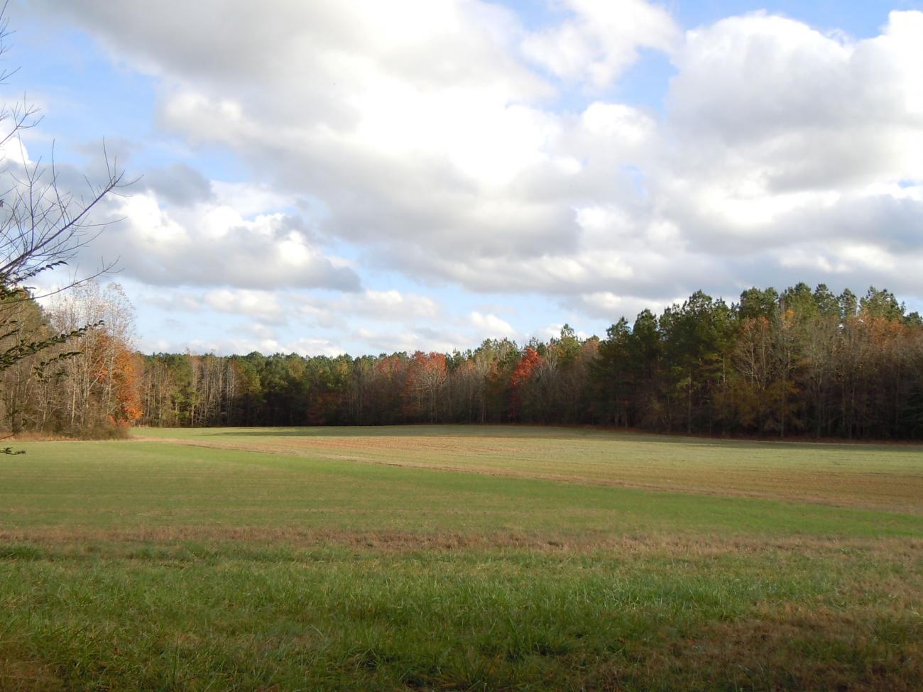 green meadows in front of a forest with some fall foliage