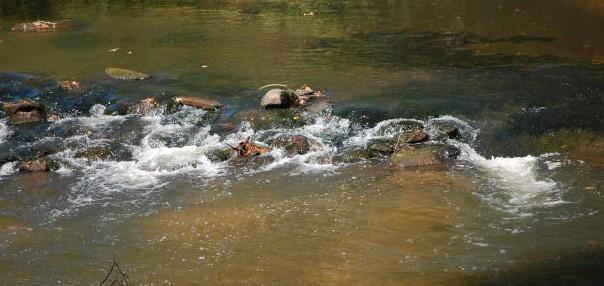 Water flowing down stream