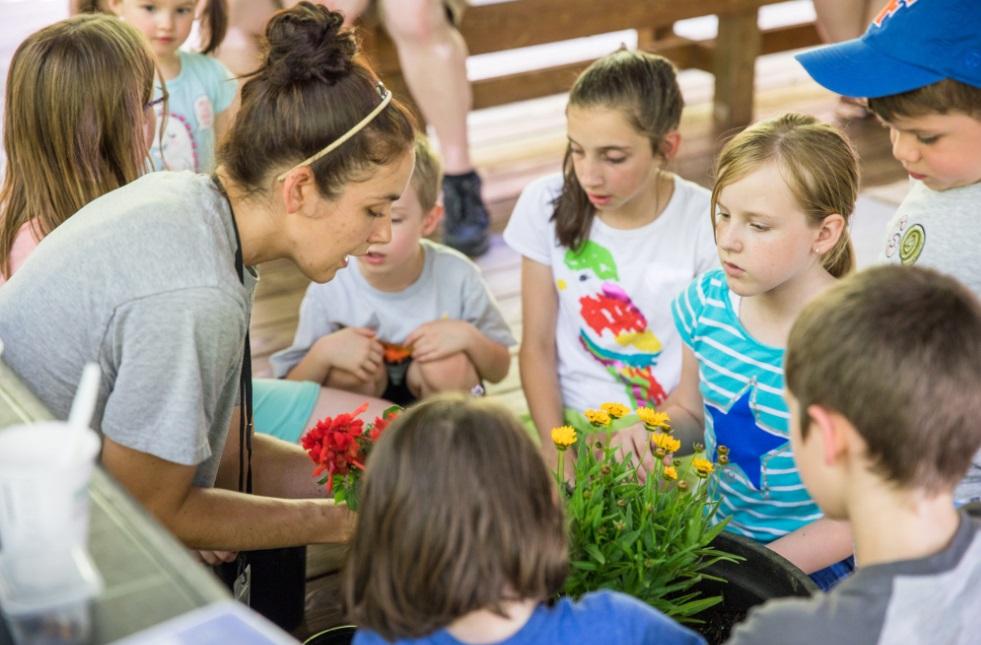 programmer works with group of camp kids to plant flower