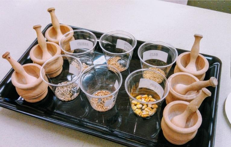 tray of mortar and pestles and grain