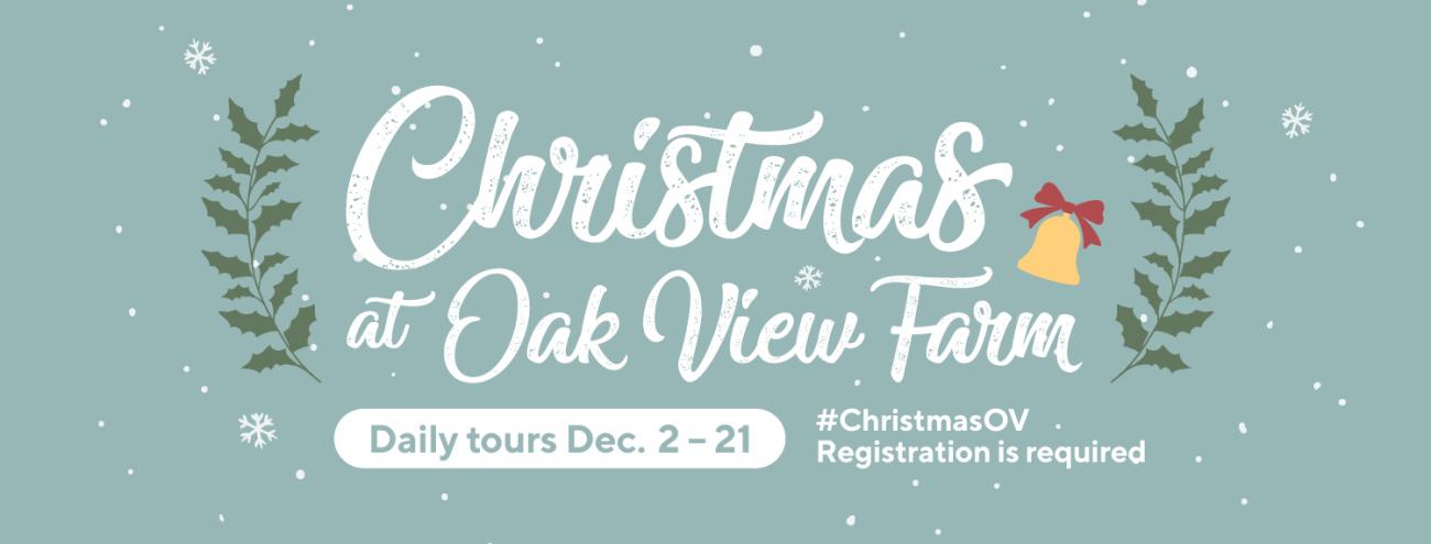 Graphic design advertising Christmas at Oak View Farm programs