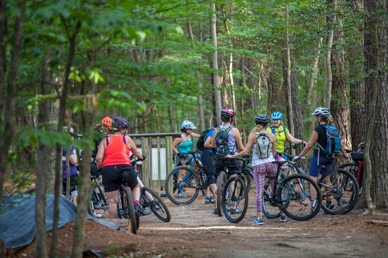 Group of bikers on trail