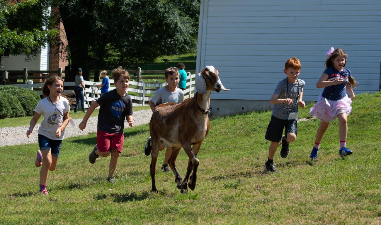 kids running with goats during farm camp