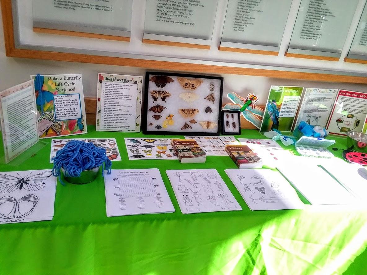 table with green table cloth covered with crafts and info about insects