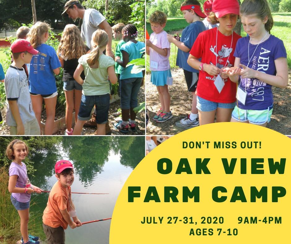 Collage of kids at Oak View's yearly Farm Camp