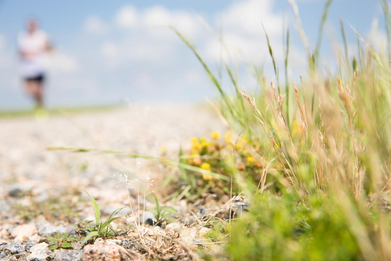 Ground level photo of gravel trail with a runner using it.
