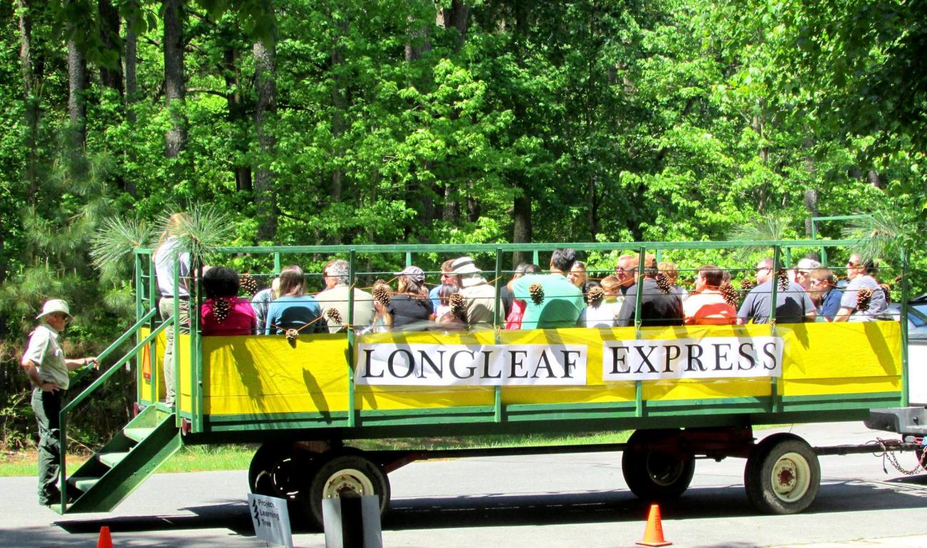 Photo of the large green and yellow "Longleaf Express" wagon which takes event goers to the Longleaf forest