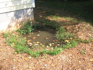 Septic system malfunction