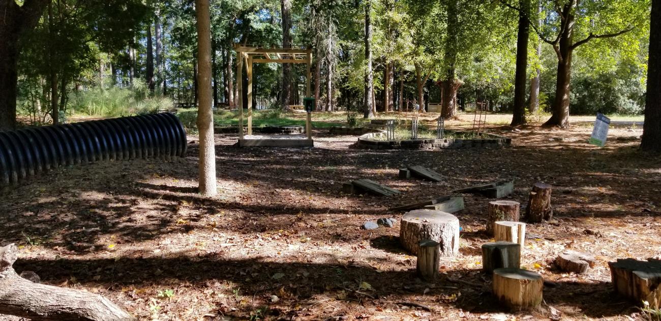 View of the Natural Play Area including stump jumps, tunnel, and arbor with sandbox below