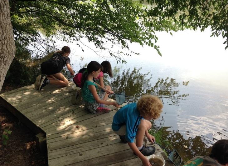 children sit on small wooden boardwalk next to pond and are dipping in the water for bugs